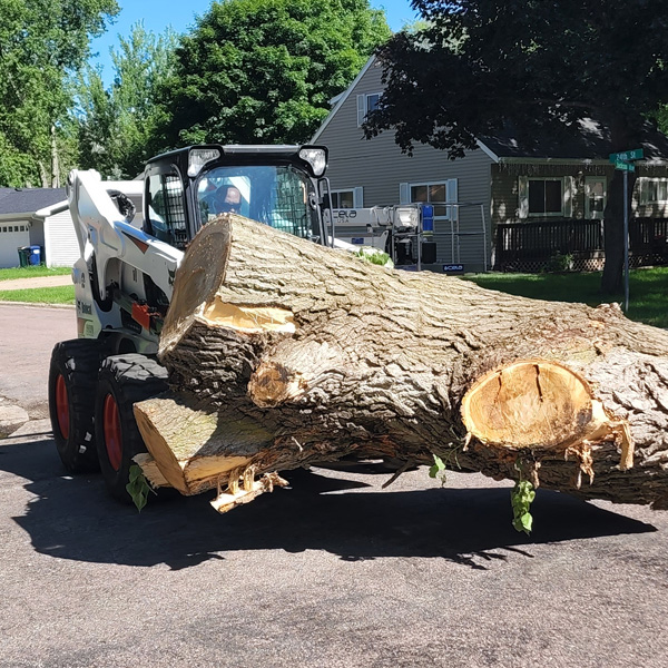 Dumpster Rental Mankato - Construction debris bin near Madison Ave
