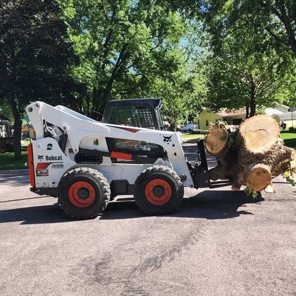 Dumpster Rental Mankato - Yard cleanup bin near Highland Park