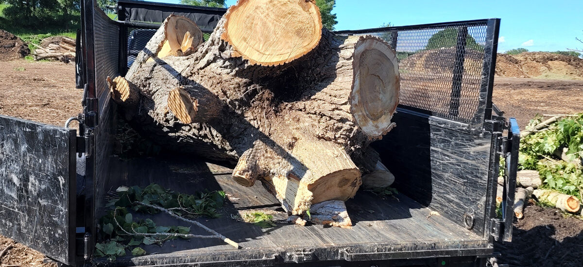Dumpster Rental Mankato - For remodel debris on Main Street