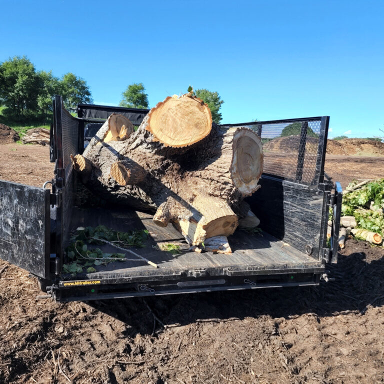 Dumpster Rental in Mankato, MN