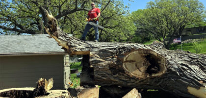 Tree Service Okoboji - Removal and trimming near East Lake