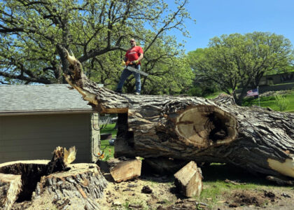 Tree Service Okoboji - Removal and trimming near East Lake