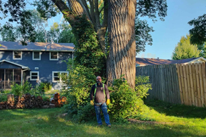 Arborist assessing a hazardous tree near Lake Shore Dr in Okoboji, IA prior to removal.