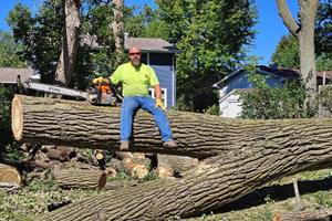 Arborist performing trunk sectioning during tree removal in the Emerson Bay area of Okoboji, IA.