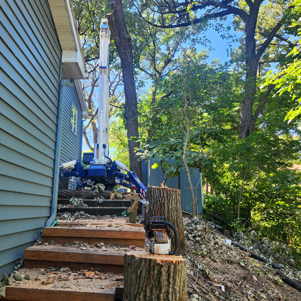 Tree Service Okoboji - Hazardous removal near West Lake