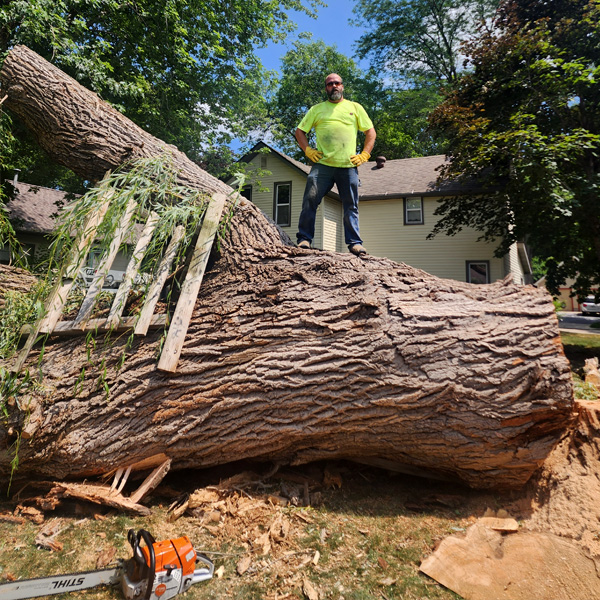 Stump Grinding Fairmont - Lot prep work near Lair Road