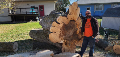 Tree Removal Fairmont - Cleanup near Hengen Street and Fairmont High School