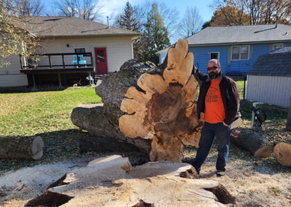 Tree Removal Fairmont - Cleanup near Hengen Street and Fairmont High School