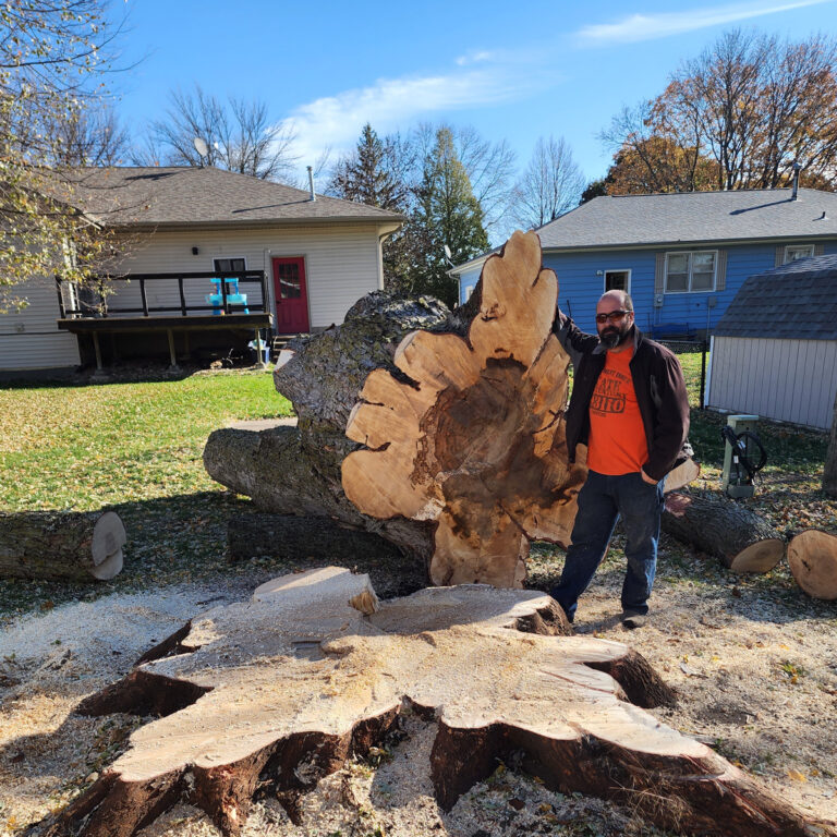 Tree Service & Stump Removal in Fairmont, MN