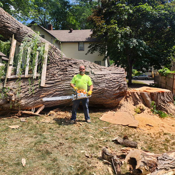 Tree Trimming Fairmont - Shoreline maintenance near Budd Lake