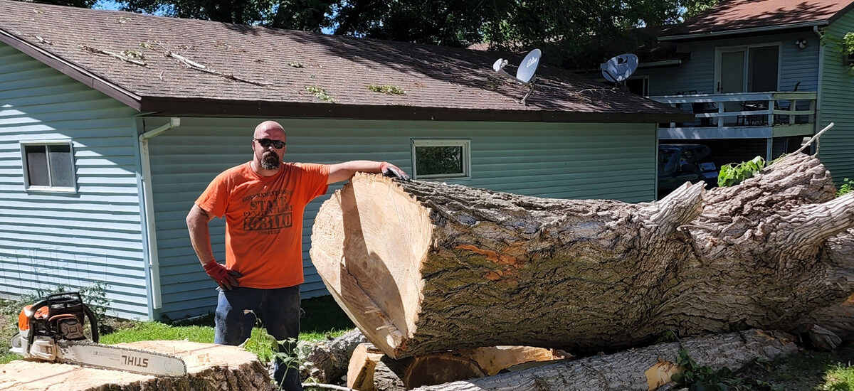 Tree Removal Blue Earth - Emergency job on East 6th near Putnam Park