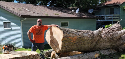 Tree Removal Blue Earth - Emergency job on East 6th near Putnam Park