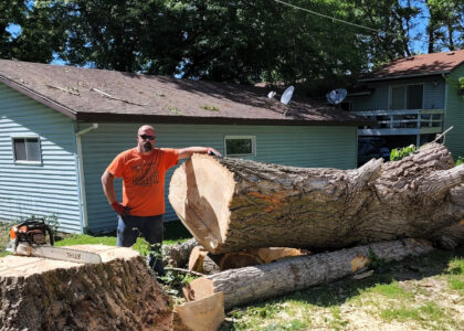 Tree Removal Blue Earth - Emergency job on East 6th near Putnam Park