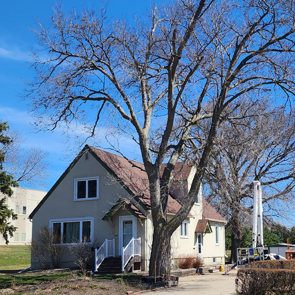 Tree Removal Blue Earth - Backyard clearing on Valley Drive