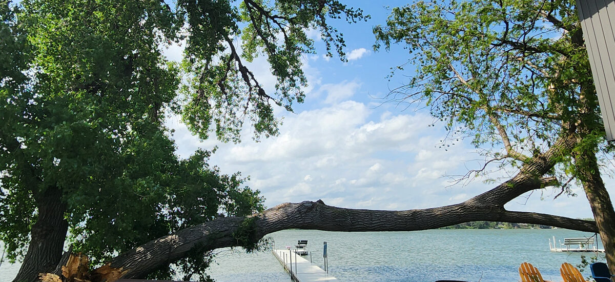 Yard Clean Up Okoboji - Tree debris haul from Nature Center Rd area