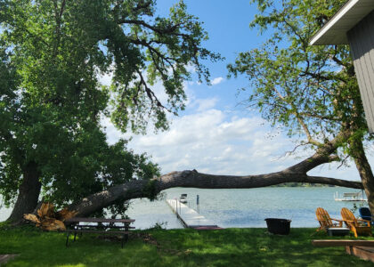 Yard Clean Up Okoboji - Tree debris haul from Nature Center Rd area